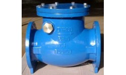 英標(biāo)止回閥 BS5153SWING CHECK VALVE